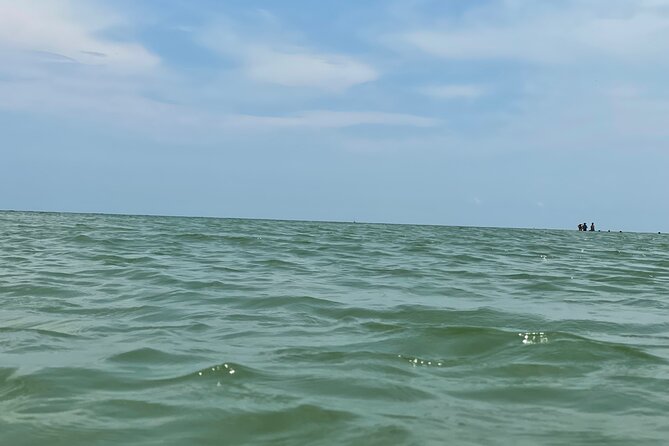 Private Dolphin & Sightseeing Boat Day Tour - Additional Information