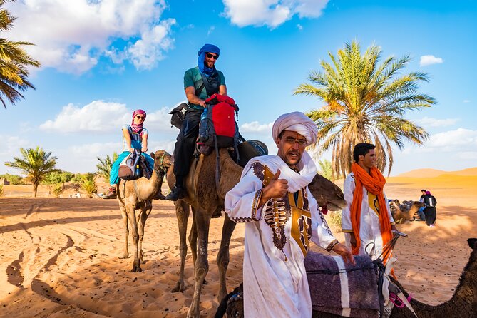 Private Driver for a Full Day in Marrakech - Why Choose a Private Driver?