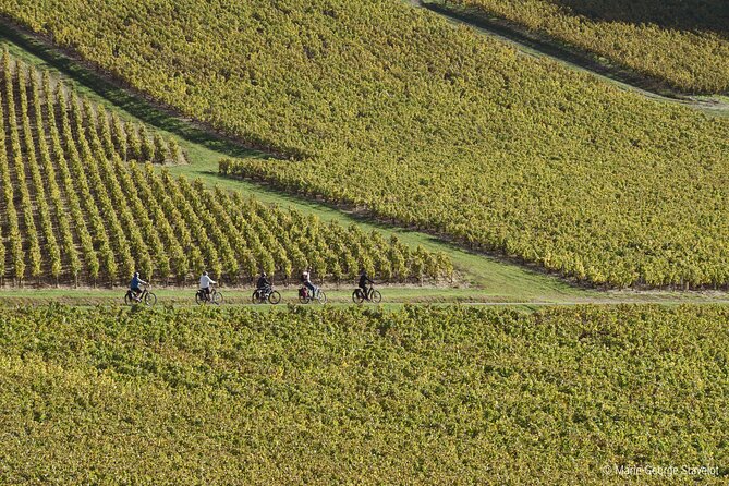 Private E-Bike Tour With a Guide in the Vineyards of Chablis - Pricing and Additional Information