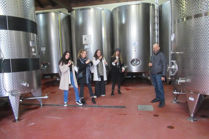 Private Emilian Food and Wine Tasting Tour in Modena - The Sum Up