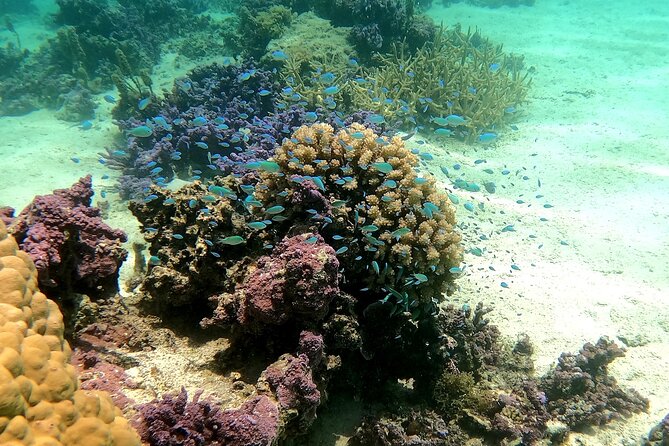 Private Excursion With Bike Paddle in Moorea and Snorkeling - Cancellation Policy and Refunds