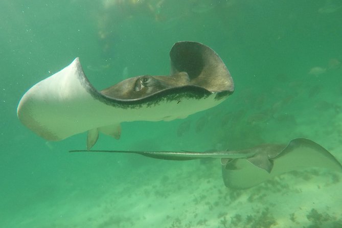 Private Fishing Tour in Yacht Playa Del Carmen - Cancellation Policy