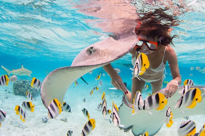 Private Full Day Aquatic Photo Tour Resort Photo-Shoot (All Inclusive) - Tour Specialty and Highlights