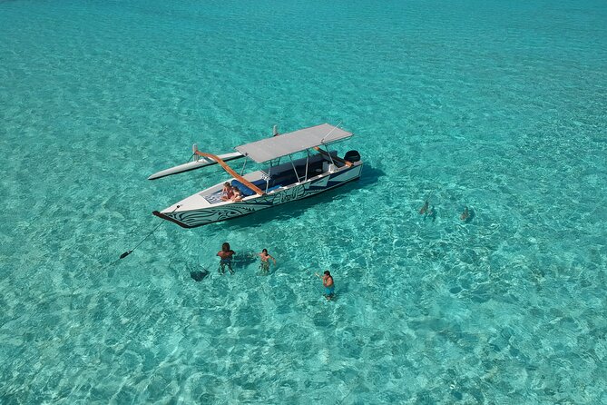 Private Full-Day Lagoon Adventure in Bora Bora With BBQ Lunch - Exploring the Coral Garden