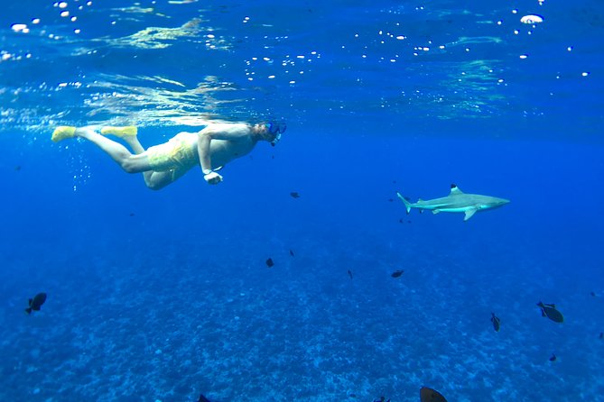 PRIVATE FULL DAY LAGOON TOUR - Bora Bora Cultural Lagoon Tour - Reviews