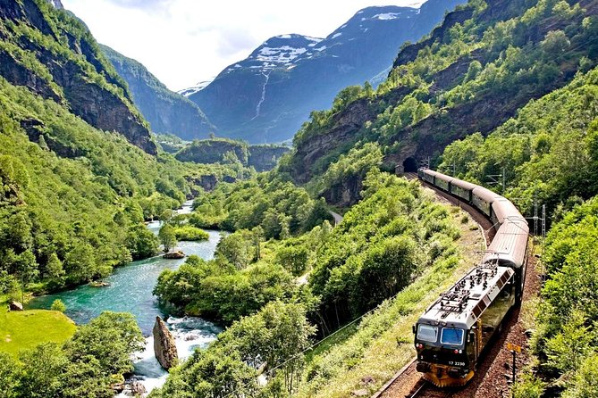 Private Full-Day Round Trip From Oslo to Sognefjord via Flåm Railway - Memorable Experiences