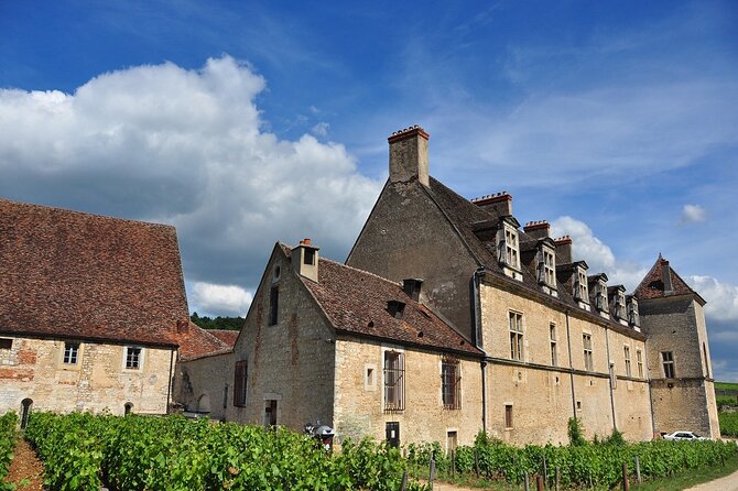 Private Full Day Tour - Côte De Nuits : Pinot Noir Paradise - Inclusions