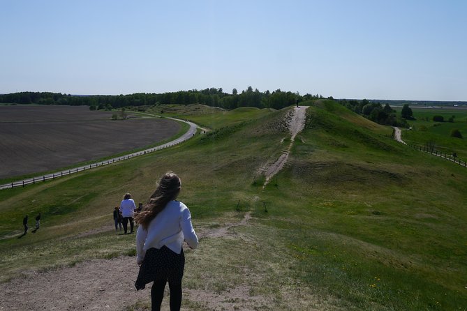 Private Full Day Viking History Tour From Stockholm Including Sigtuna and Uppsala - Additional Information