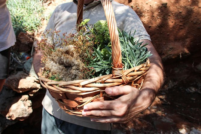 Private Greek Cooking Class and Foraging Experience in Syros - Directions