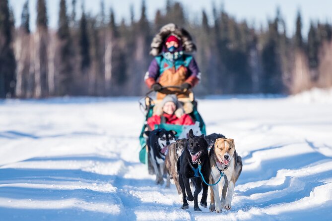 Private Guided Chena River Mush Dream Vacation in Fairbanks - Customer Reviews