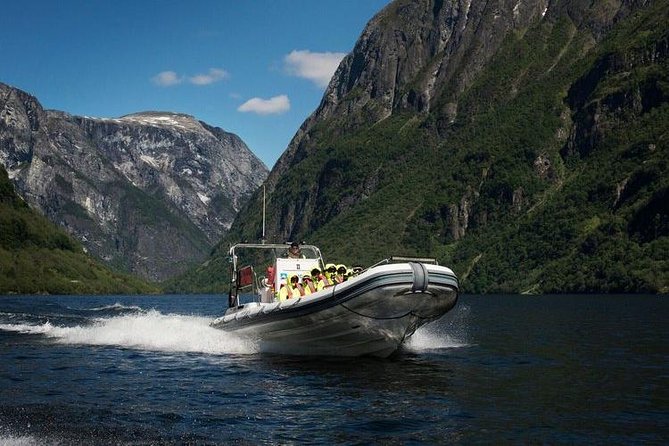 Private Guided Day Tour - RIB Nærøyfjord Safari & Flåm Railway - Geology and Historic Landmarks