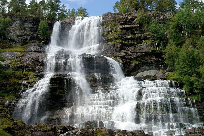 Private Guided Day Tour to Flåm - Incl RIB Sognefjord Safari and Flåm Railway - Traveler Photos
