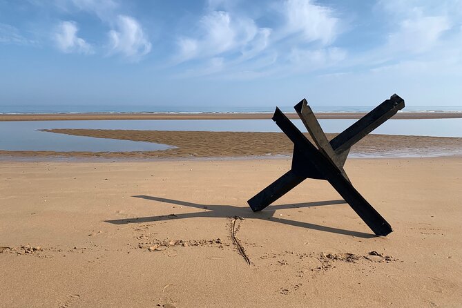 Private Guided Tour of the D-Day Landing Beaches From Havre - Positive Traveler Reviews