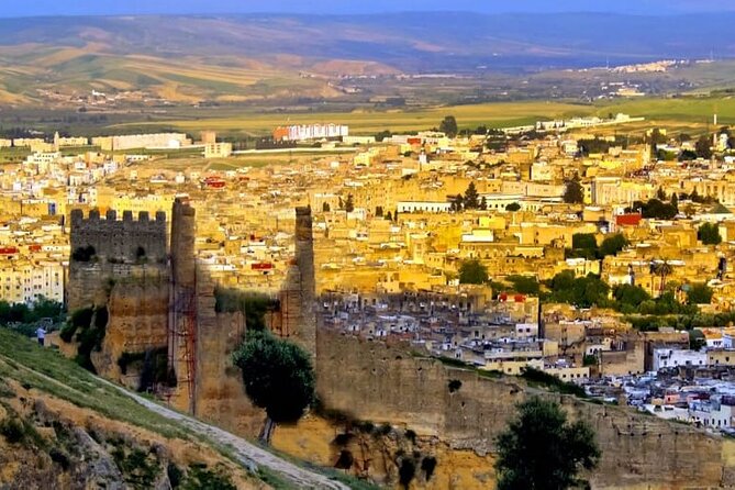 Private Guided Tour of the Medina of Fez and Its Surroundings - Booking Information and Availability