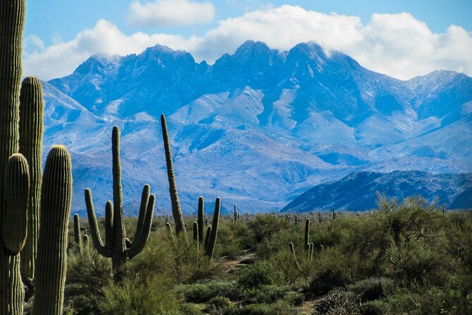 Private Half-Day Apache Trail Tour With Pickup - Common Questions