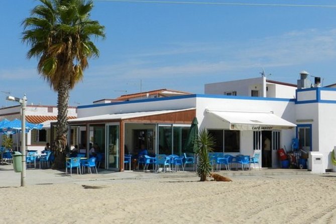 Private Half-Day Boat Tour in Ria Formosa From Faro - Reviews