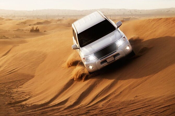 Private Half Day Desert Safari Tour in Qatar - Additional Information