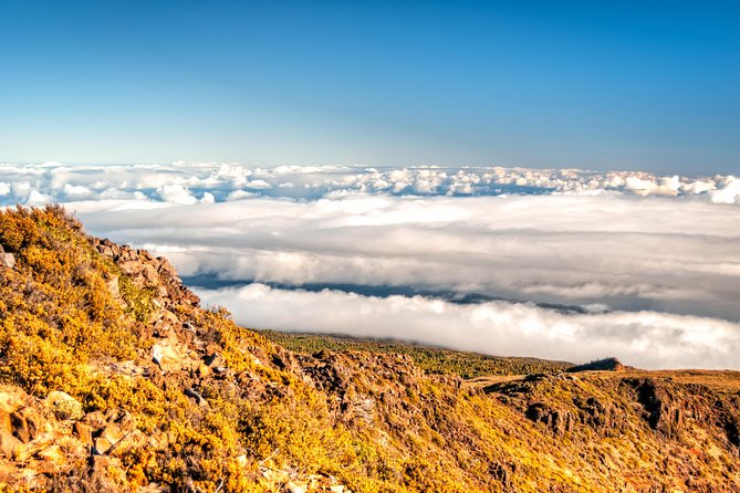 Private Half-Day Haleakalā Hike in Kahului  - Maui - Common Questions