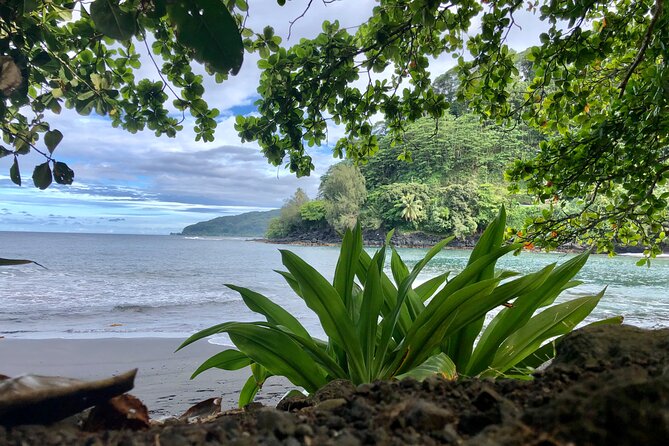 Private Half-Day Tour of Tahiti East Coast or West Coast - Pickup Details