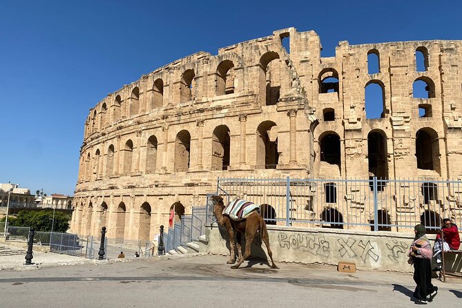 Private Half Day Tour Roman Coliseum EL JEM - Reviews and Ratings