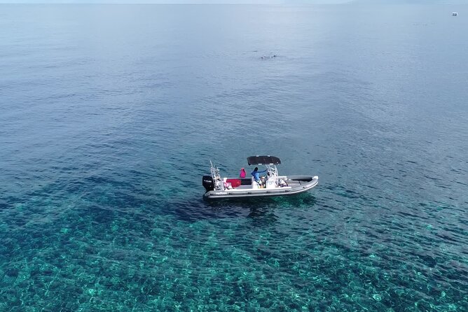 Private Half-Day Whale Watching Tour in Tahiti - Additional Information on Private Tour