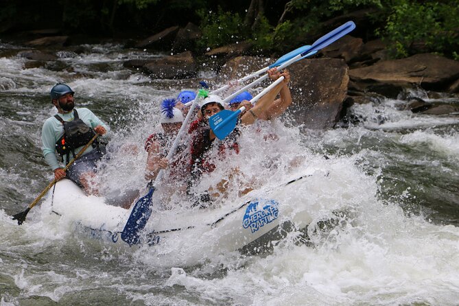 Private High Adventure Trip on the Ocoee River - Pricing and Additional Information: Price, Product Code, and Viator Help Center