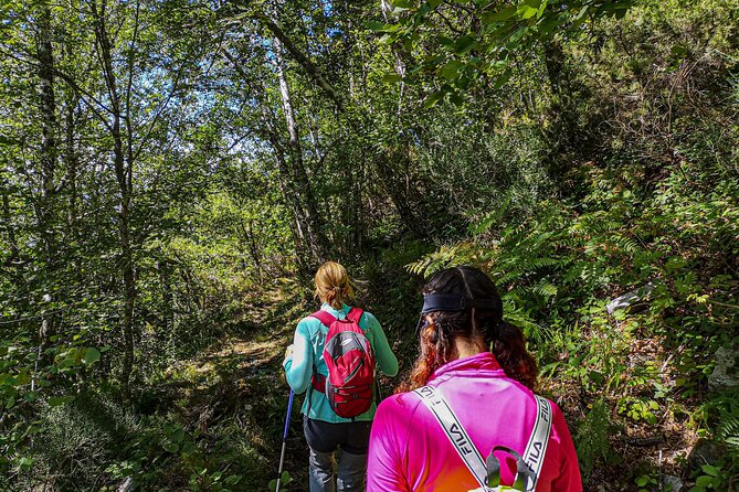 Private Hiking Experience in the Sierra De Peña Mayor - How to Get There