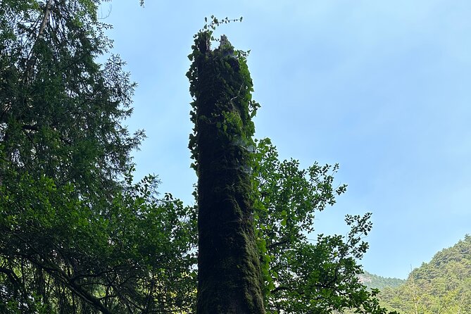 Private Hiking Tour to Olympus Mountain - Cancellation Policy
