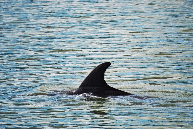 Private Hilton Head Dolphin Watching Tour With Waterfront Dining Stops - Common Questions