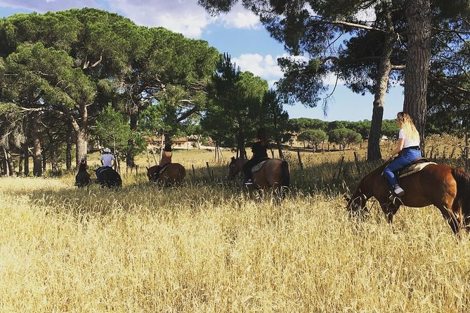 Private Horse Ride in the Veio Park in Rome - Directions