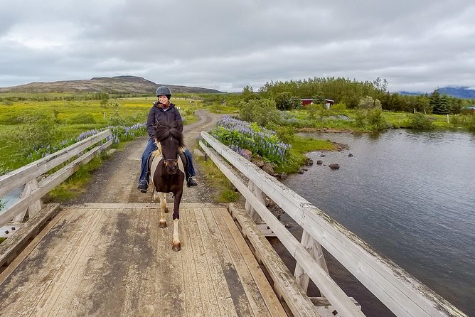 Private Horse Riding Tour of Lake Hafravatn From Reykjavik - Cancellation Policy