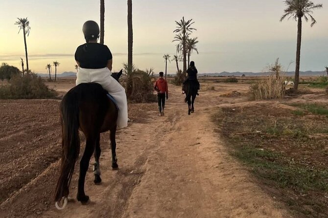 Private Horseback Ride in the Palmeraie of Marrakech - Pricing