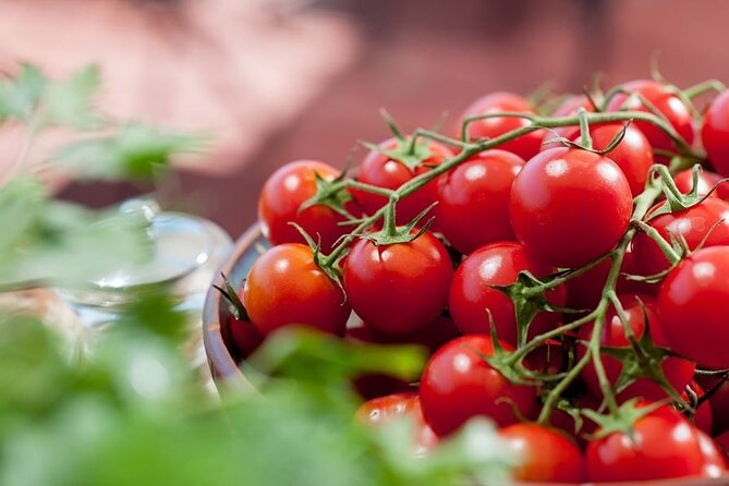 Private Interactive Cooking Class With Aggeliki - Contact and Terms