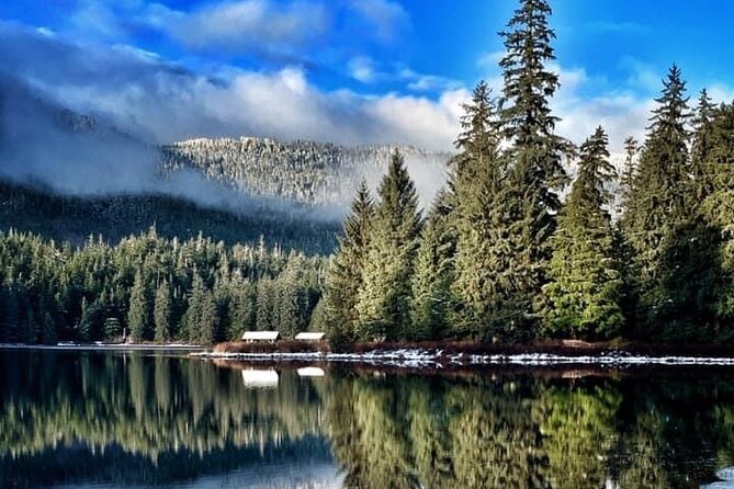 Private Ketchikan City Totems & Wildlife Van Tour - Convenient Pick-up and Drop-off Options