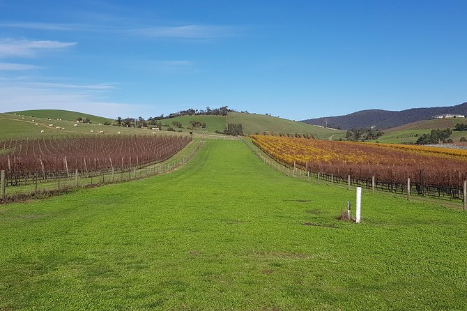 Private, Luxury and Tailored Yarra Valley Wine Tour - Cancellation Policy
