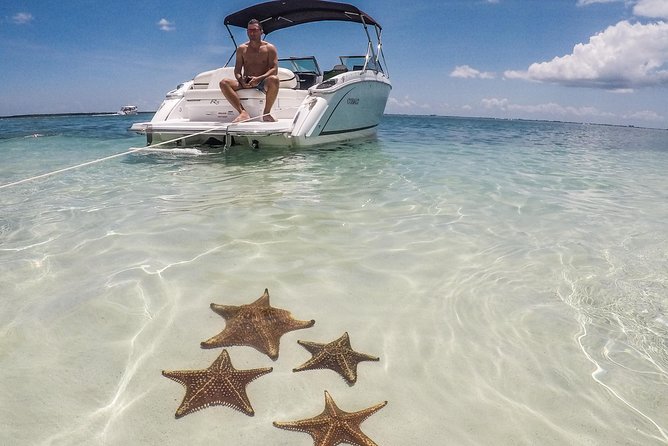Private, Luxury, Custom Charters to Stingray City, Snorkeling & More - Good To Know