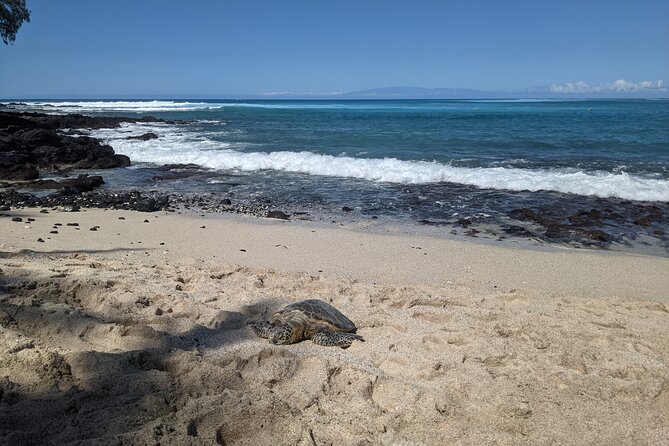 Private Luxury Van With Driver to Big Island Destinations of Your Choice - Tour Ratings