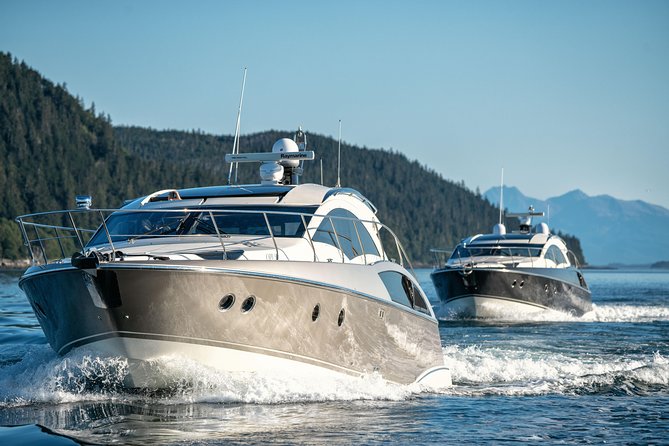Private Luxury Whale Watch - Traveler Photos and Reviews