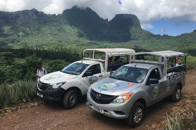 Private Morning Moorea 4WD Tour With Champagne - Local Guide and Vantage Points