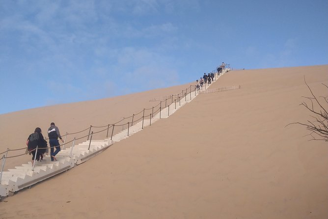 Private Morning Trip to the Dune of Pyla & Oysters Tasting at the Local Market - Reviews