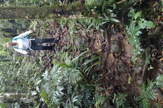 Private Mount Batilamu and Koroyanitu Waterfall Full Day Hike - Important Safety Precautions