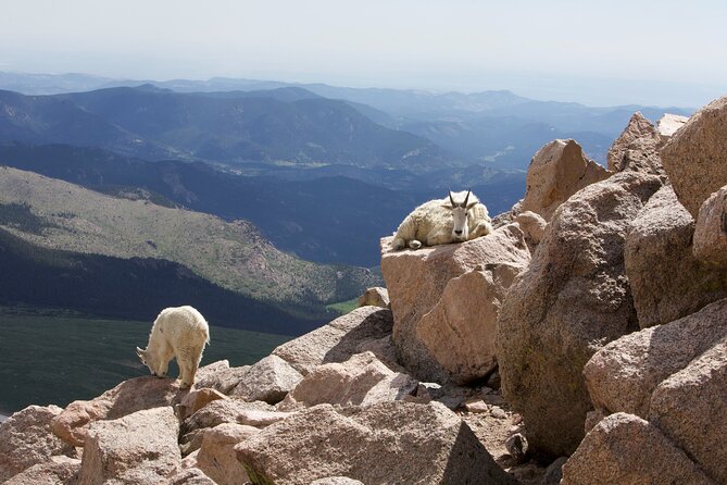 Private Mount Blue Sky (Mount Evans) & Red Rocks Tour From Denver - What to Wear and Bring