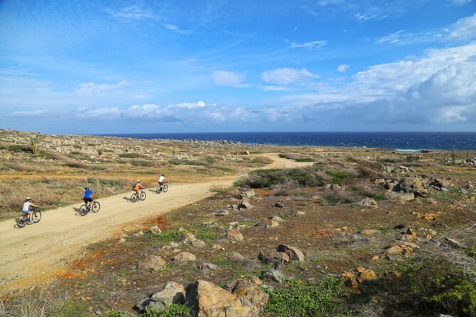 Private Mountain Bike Tour on Aruba - Pricing and Terms