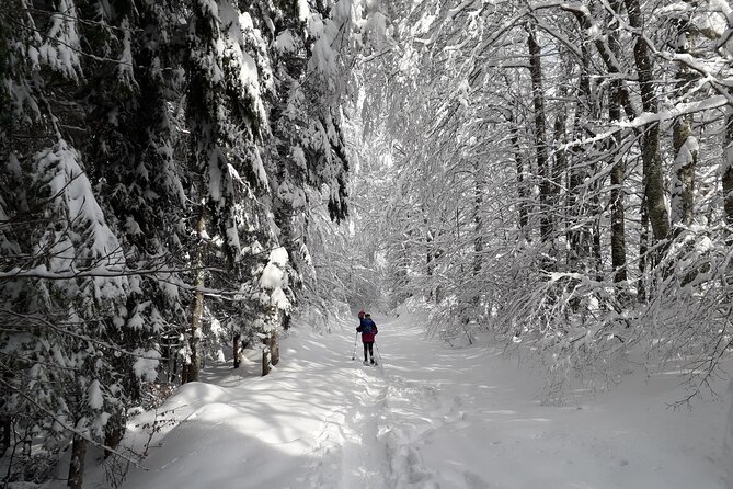 Private Mountain Snowshoe Hike From Chamonix - Year-Round Availability for the Tour