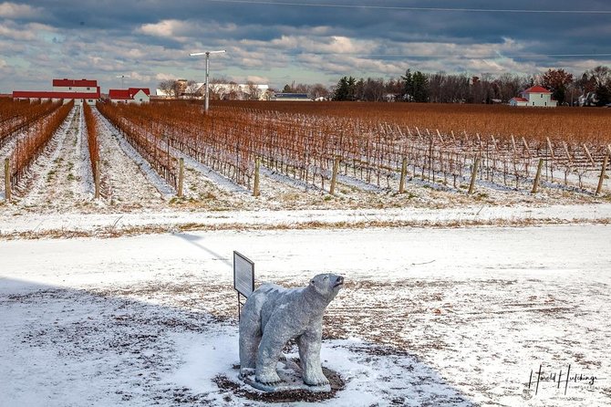 Private Niagara Ice Wine Tour - The Sum Up