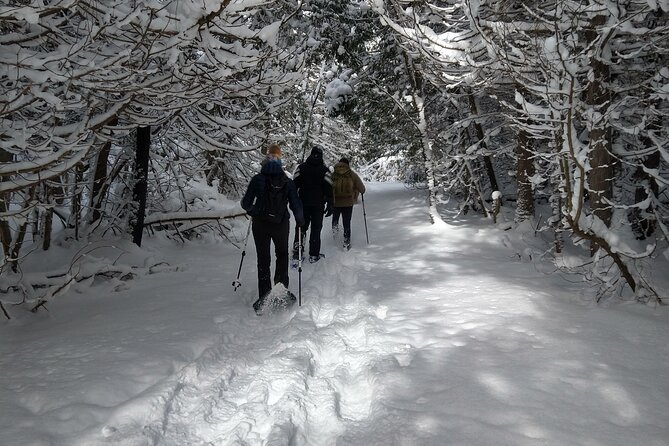 Private Nottawasaga Bluffs Caves Snowshoe/Crampons, Creemore Area - Safety Precautions