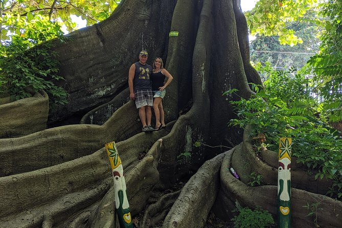 Private Ocho Rios Highlight Tour - How to Book