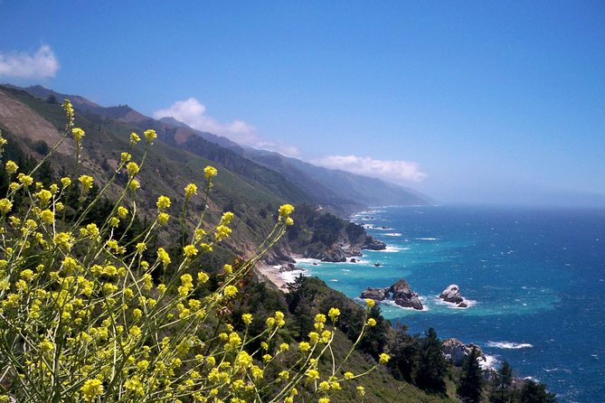 Private One-Day Road Trip Along Californias Pacific Coast  - San Jose - Bixby Bridge