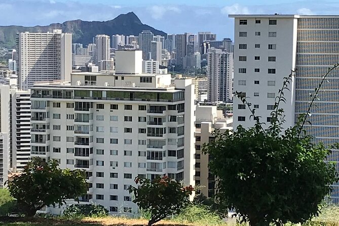 Private Pearl Harbor and Honolulu City Tour - Transportation and Tour Guides