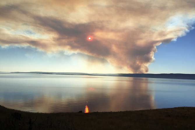 Private “Pet Friendly” Yellowstone National Park Tours by CWA - What to Expect